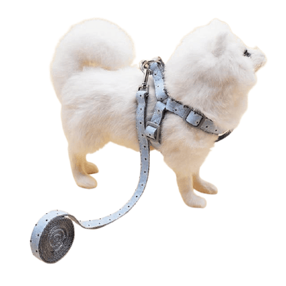 Adjustable Stylish Dog Harness - Bark ‘n’ Paws