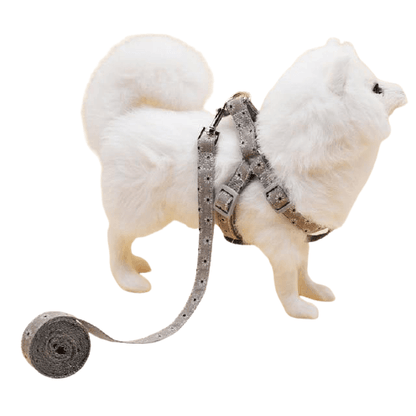 Adjustable Stylish Dog Harness - Bark ‘n’ Paws