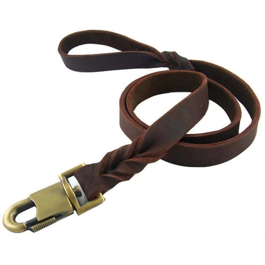 Leather Strong Braided Dog Leash