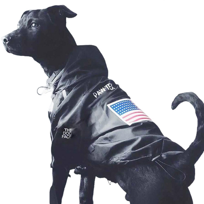Reflective Dog Fashion Hoodie