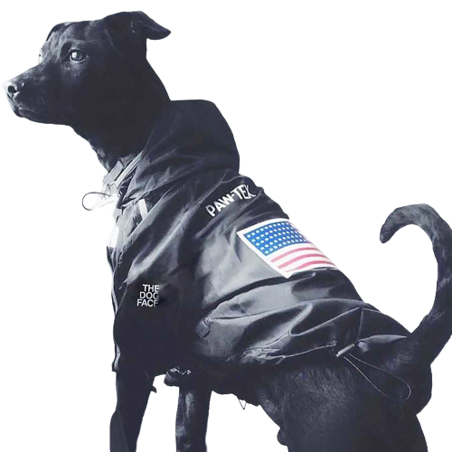 Reflective Dog Fashion Hoodie