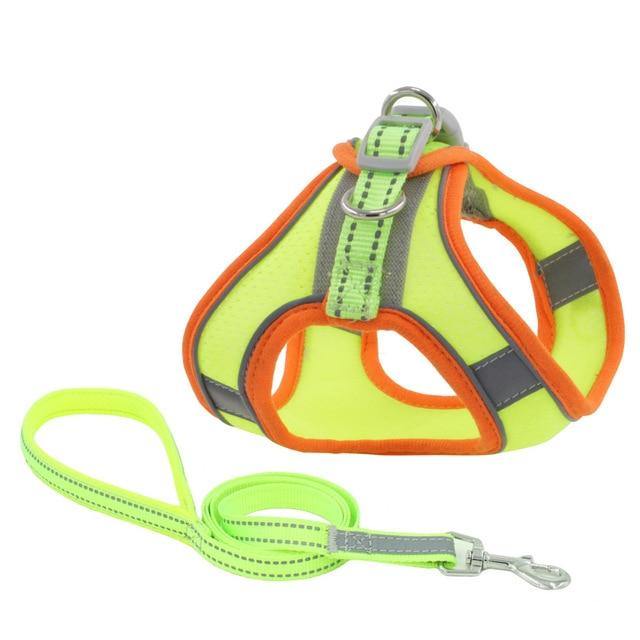 Reflective Leash With Dog Harness - Bark ¡®n¡¯ Paws