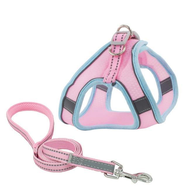 Reflective Leash With Dog Harness - Bark ¡®n¡¯ Paws