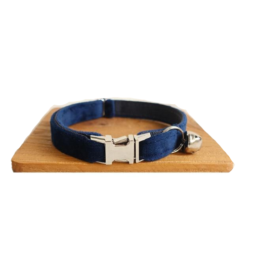 Personalized Engraved Dog Collar - Bark ¡®n¡¯ Paws