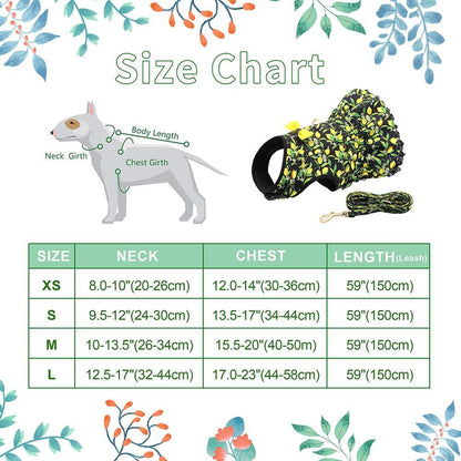 Cute Printed Dog Harness And Leash - Bark ‘n’ Paws