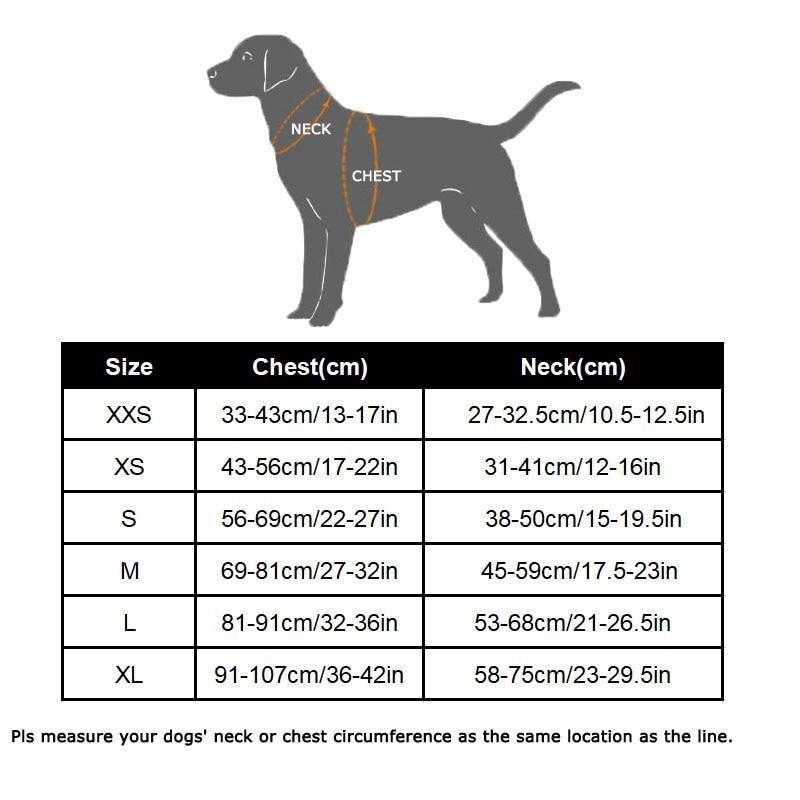 Summer Safety Dog Life Jacket Vest - Bark ‘n’ Paws