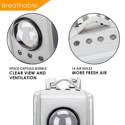 Ventilated Transparent Pet Backpack