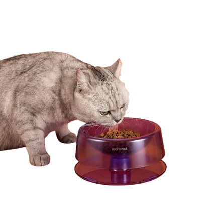 Single Pet Bowl With Raised Stand