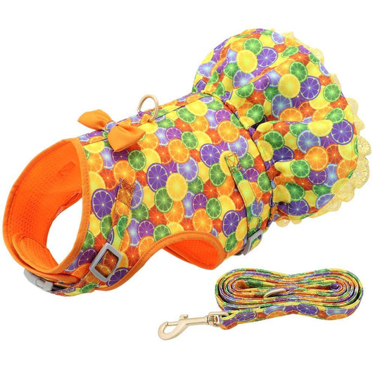 Cute Printed Dog Harness And Leash - Bark ‘n’ Paws