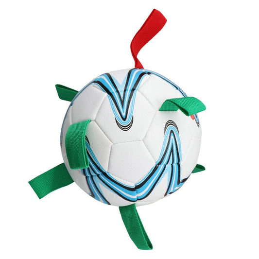 Interactive Outdoor Dog Toy Soccer Ball