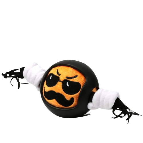 Squeaky Interactive Dog Tough Toys