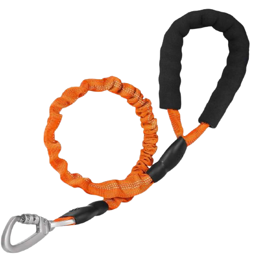 Reflective Padded Elastic Dog Leash