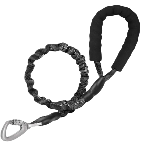 Reflective Padded Elastic Dog Leash