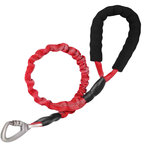 Reflective Padded Elastic Dog Leash