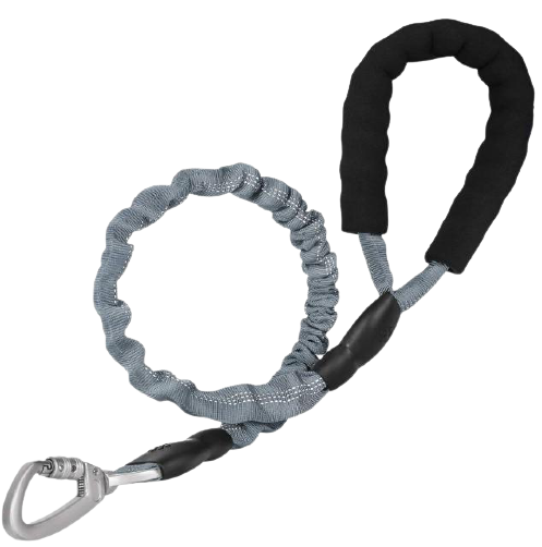 Reflective Padded Elastic Dog Leash