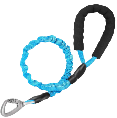 Reflective Padded Elastic Dog Leash