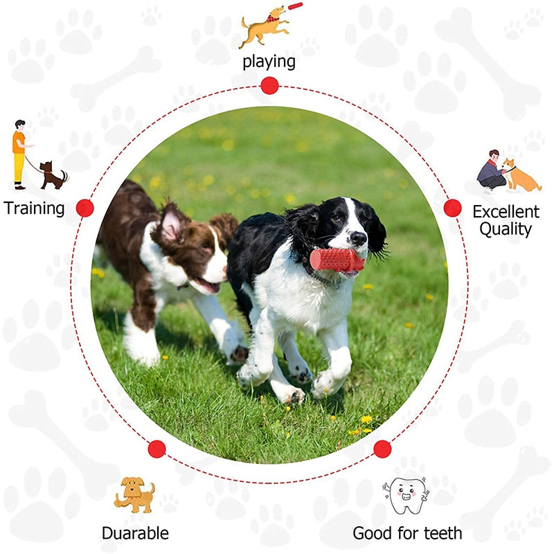 Cute Bear Bite Resistant Dog Chew Toys