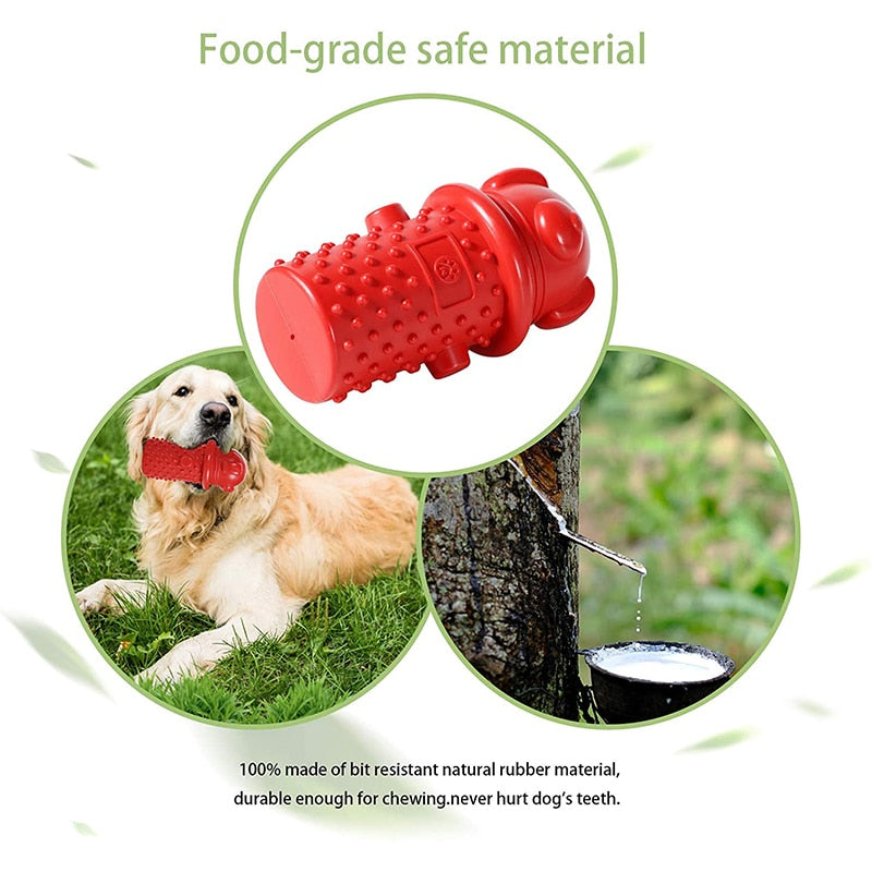 Cute Bear Bite Resistant Dog Chew Toys