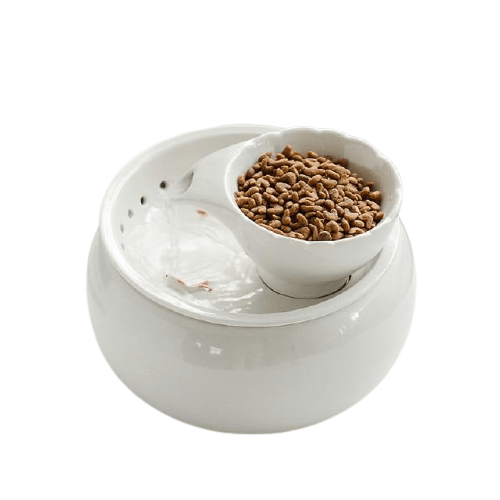 Ceramic Pet Water Fountain - Bark ‘n’ Paws