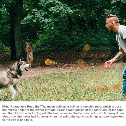 Sports Ball Launcher Dog Fetch Toys