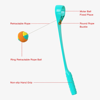 Sports Ball Launcher Dog Fetch Toys