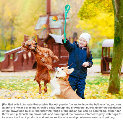 Sports Ball Launcher Dog Fetch Toys