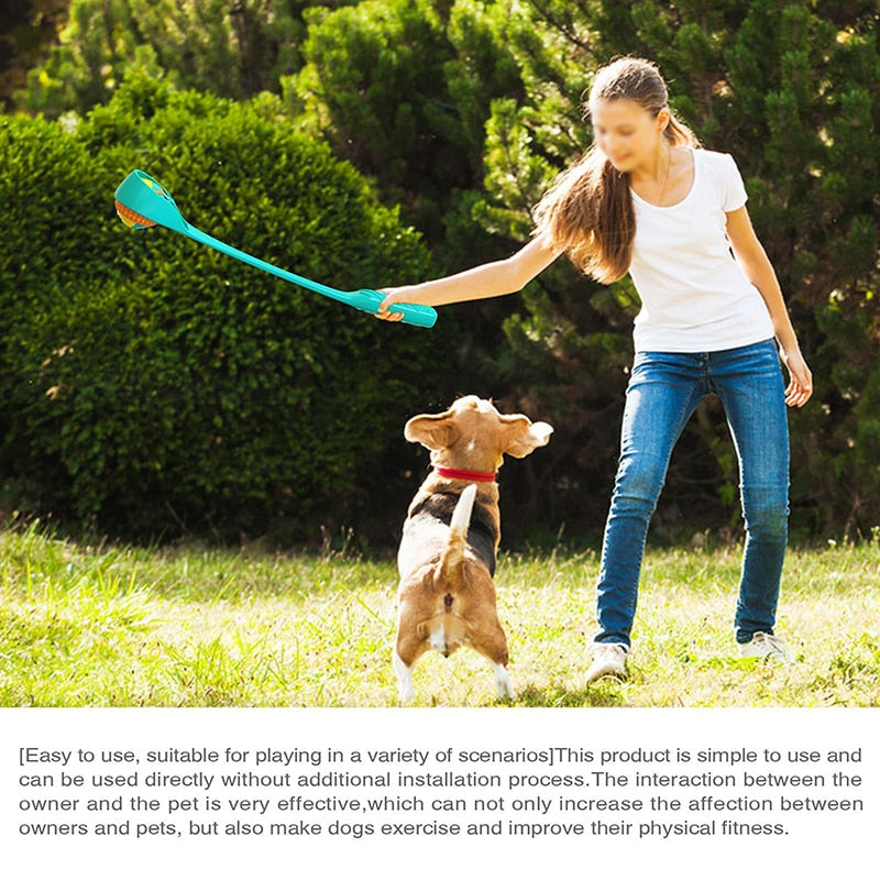 Sports Ball Launcher Dog Fetch Toys