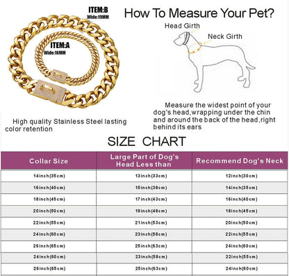 Stainless Steel Gold Dog Chain