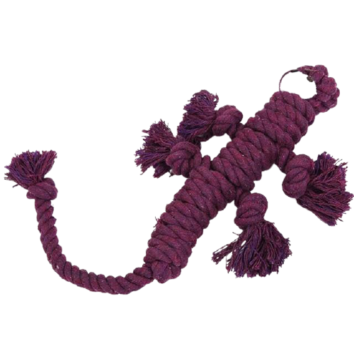 Tough Lizard Doll Dog Rope Toy