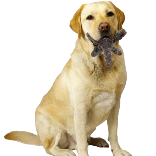 Rubber Twig Indestructible Dog Toys