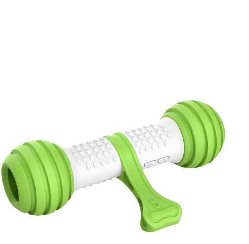 Smart Interactive Electronic Dog Bone Toy