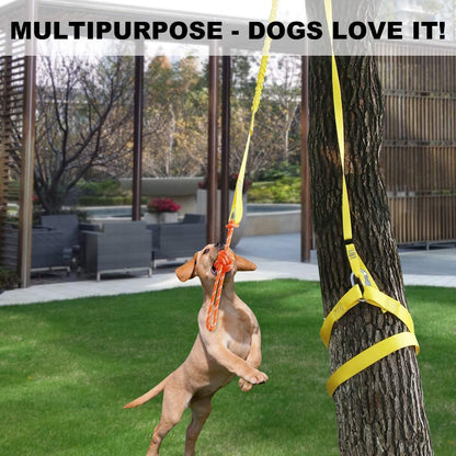 Outdoor Interactive Tug Of War Dog Rope Toy