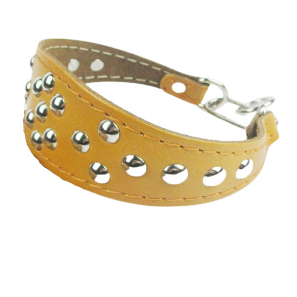 Italian Greyhound Leather Dog Collar