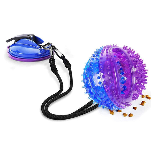 Interactive Dog Rope Toy With Suction Cup