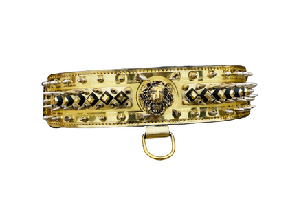 Leather Gold Lion Dog Collar