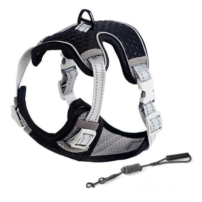 Summer Breathable Reflective Dog Harness - Bark ‘n’ Paws