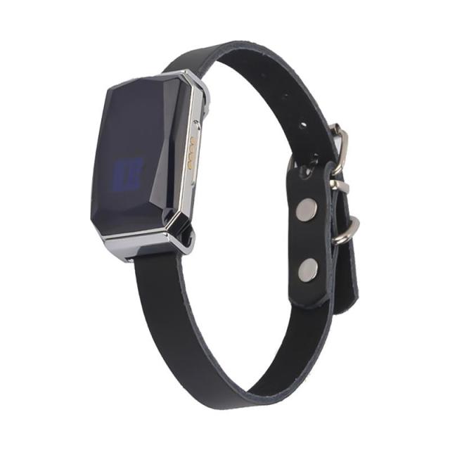 GPS Smart Waterproof Pet Collar
