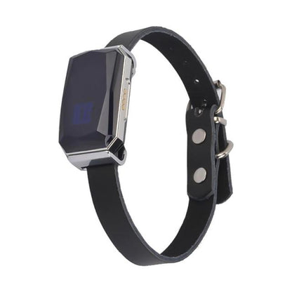 GPS Smart Waterproof Pet Collar