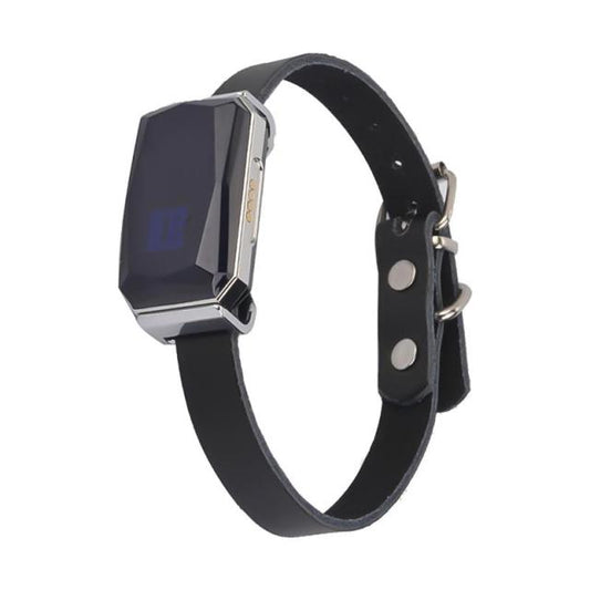 GPS Smart Waterproof Pet Collar