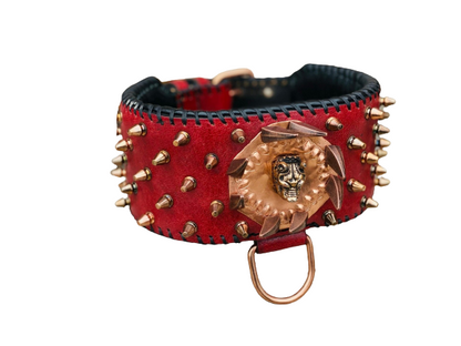 Red Leather Spiked Dog Collar