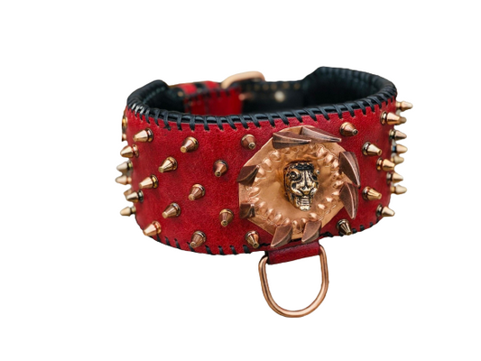 Red Leather Spiked Dog Collar