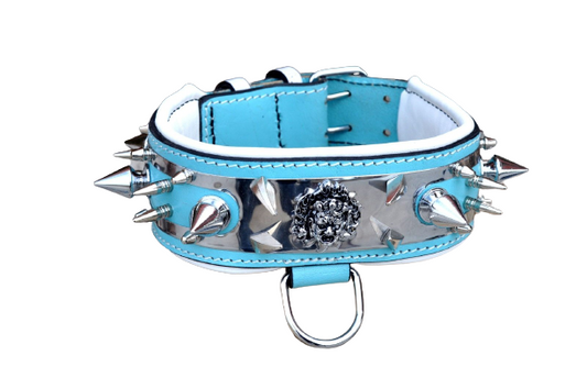 Lake Blue Luxury Leather Dog Collar