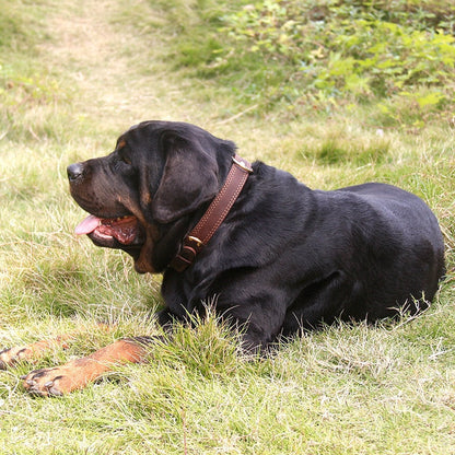 Vintage Genuine Leather Dog Collar