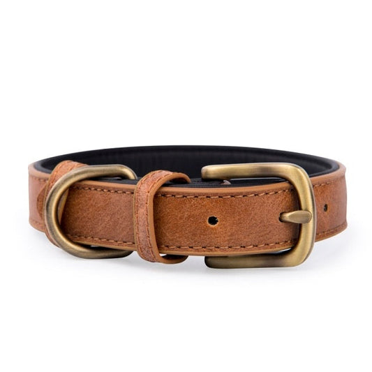 Gold Metal Buckle Leather Dog Collar