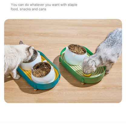 Pet Stainless Steel Double Bowl