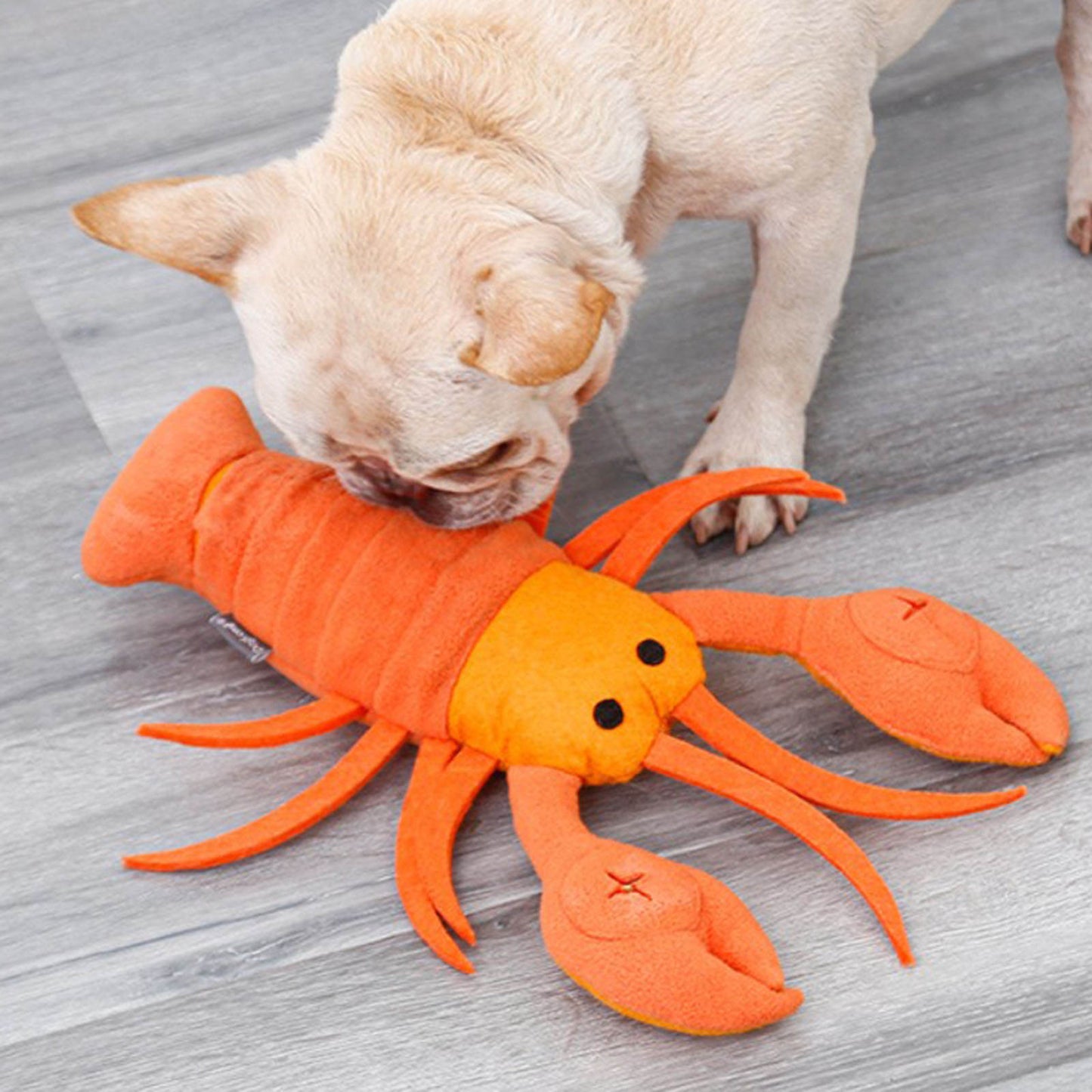 Fun Lobster Dog Toy