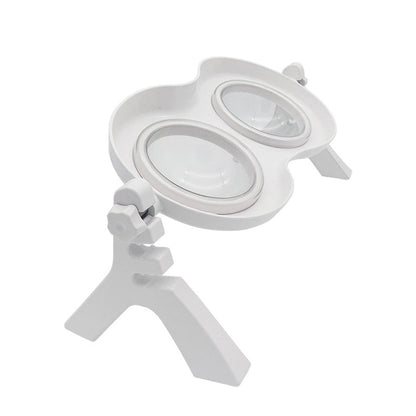 Adjustable Elevated Tilted Dog Bowls