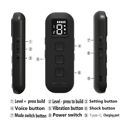 Rechargeable Remote Waterproof Dog Training Collar