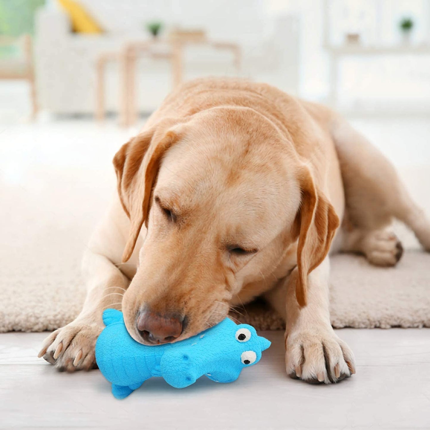 Dinosaurs Squeaky Dog Toys