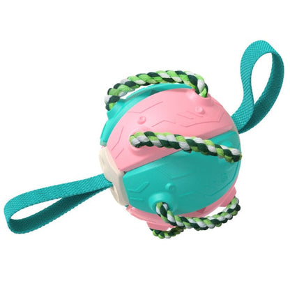 Interactive Frisbee Football Dog Toy